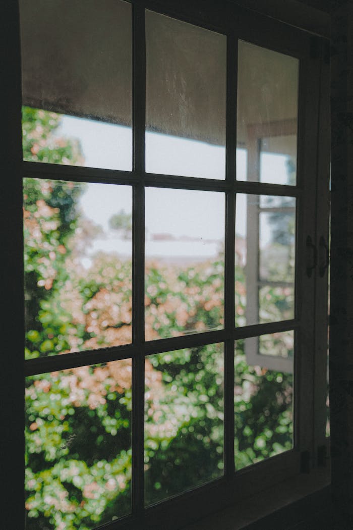 Sunlight shining through a rustic window frame, revealing a lush garden outside.